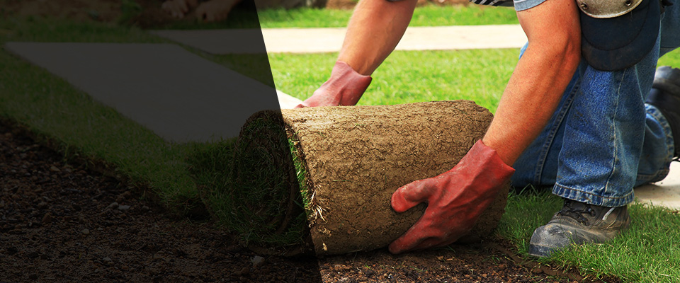 Dardanelle Landscapers